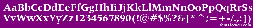 フォントLatin725BoldBt – 紫の背景に白い文字