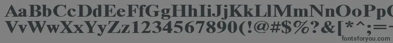 Timeset120b-Schriftart – Schwarze Schriften auf grauem Hintergrund