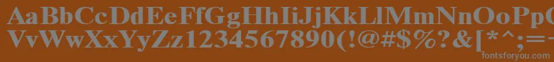 フォントTimeset120b – 茶色の背景に灰色の文字