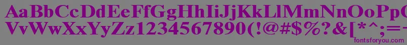 フォントTimeset120b – 紫色のフォント、灰色の背景
