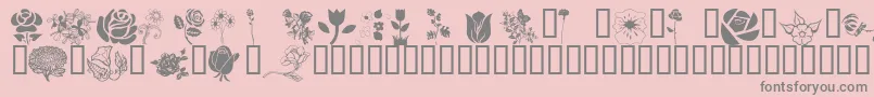 Fonte Wmflowers1 – fontes cinzas em um fundo rosa