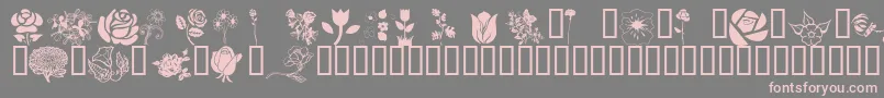 フォントWmflowers1 – 灰色の背景にピンクのフォント