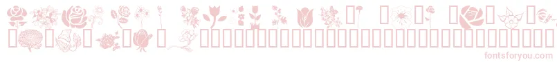 Wmflowers1 Font – Pink Fonts on White Background