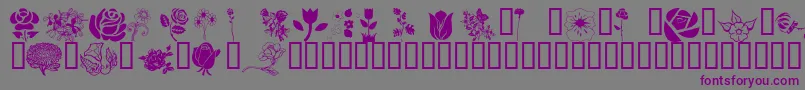 Шрифт Wmflowers1 – фиолетовые шрифты на сером фоне