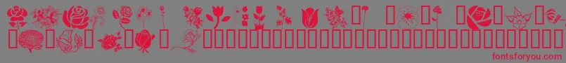 Wmflowers1 Font – Red Fonts on Gray Background
