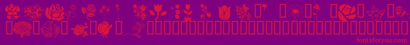 Wmflowers1-Schriftart – Rote Schriften auf violettem Hintergrund