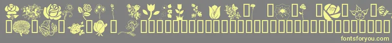 フォントWmflowers1 – 黄色のフォント、灰色の背景