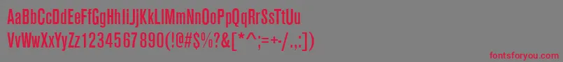 AnconaCdRegular-Schriftart – Rote Schriften auf grauem Hintergrund