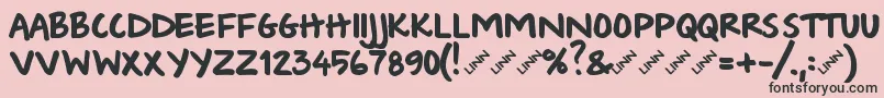 Wishlist2009bold-Schriftart – Schwarze Schriften auf rosa Hintergrund