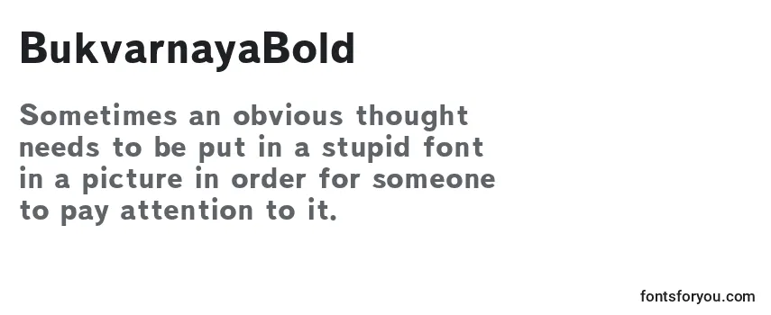 Review of the BukvarnayaBold Font