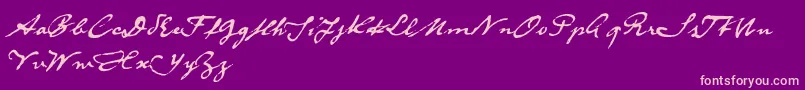 DieselRudolfReduced Font – Pink Fonts on Purple Background