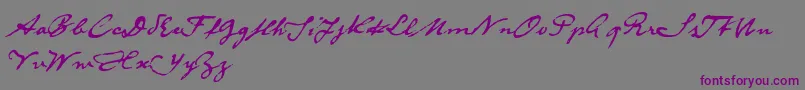 DieselRudolfReduced-Schriftart – Violette Schriften auf grauem Hintergrund