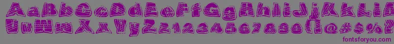 OverrideDsg Font – Purple Fonts on Gray Background
