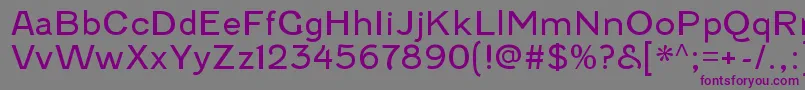FenwickltRegular Font – Purple Fonts on Gray Background
