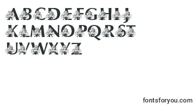 LmsUsusBigBlue font – technical Fonts