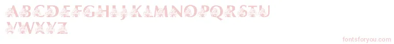 LmsUsusBigBlue Font – Pink Fonts on White Background