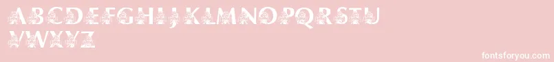 LmsUsusBigBlue Font – White Fonts on Pink Background