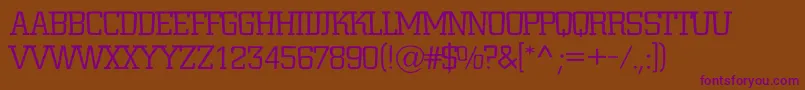 ACitynovatitulrglt Font – Purple Fonts on Brown Background