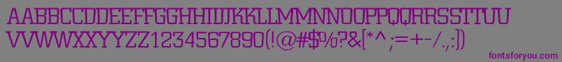Шрифт ACitynovatitulrglt – фиолетовые шрифты на сером фоне