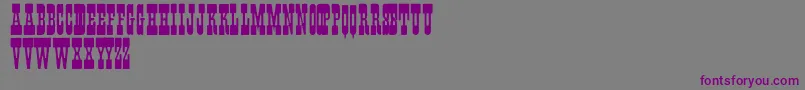 En savoir plus sur la police Fisti Police Fisti – polices violettes sur fond gris