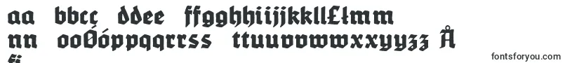 WerbedeutschHeavy Font – Polish Fonts