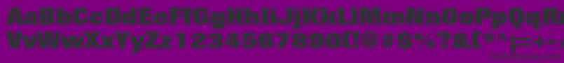 FoliostdExtrabold-fontti – mustat fontit violetilla taustalla