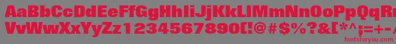 FoliostdExtrabold Font – Red Fonts on Gray Background