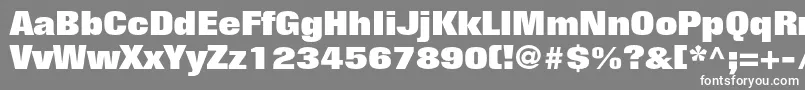 フォントFoliostdExtrabold – 灰色の背景に白い文字