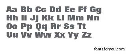FoliostdExtrabold Font