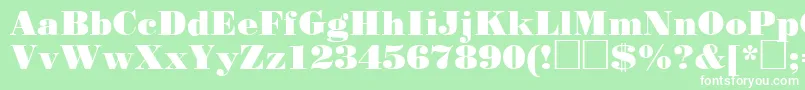 Stp93C Font – White Fonts on Green Background