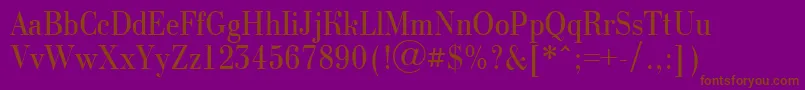 BodoninovanrRegular Font – Brown Fonts on Purple Background