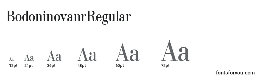 Размеры шрифта BodoninovanrRegular