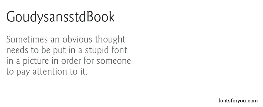 Review of the GoudysansstdBook Font