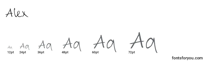 Размеры шрифта Alex (30014)