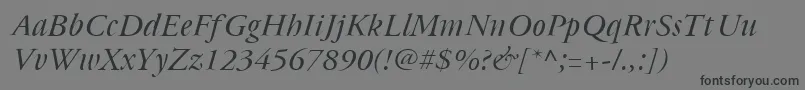 Cyrillicgaramonditalic Font – Black Fonts on Gray Background