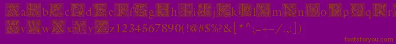 MedievalInitialTwo Font – Brown Fonts on Purple Background