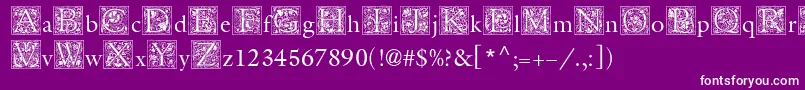 Шрифт MedievalInitialTwo – белые шрифты на фиолетовом фоне