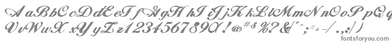 フォントWhimsiscriptssk ffy – 白い背景に灰色の文字