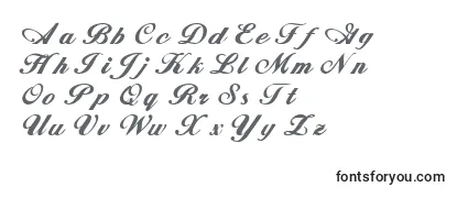 Обзор шрифта Whimsiscriptssk ffy