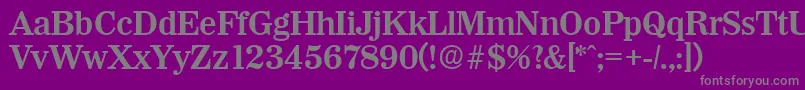 WichitaDemibold Font – Gray Fonts on Purple Background