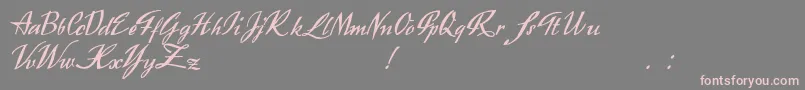 Exclusivite-Schriftart – Rosa Schriften auf grauem Hintergrund