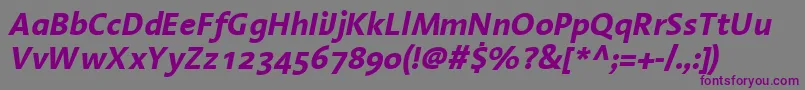 LinotypeAromaBoldItalic-fontti – violetit fontit harmaalla taustalla