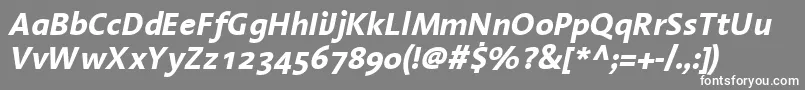 LinotypeAromaBoldItalic Font – White Fonts on Gray Background