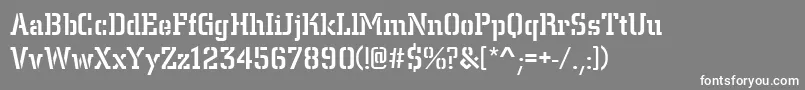 Citystedmed Font – White Fonts on Gray Background