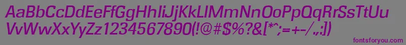 RochesterserialMediumItalic Font – Purple Fonts on Gray Background