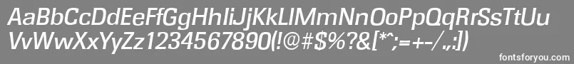 RochesterserialMediumItalic Font – White Fonts on Gray Background
