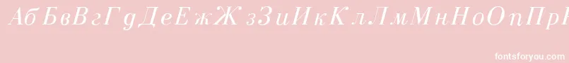 CzarItalic Font – White Fonts on Pink Background