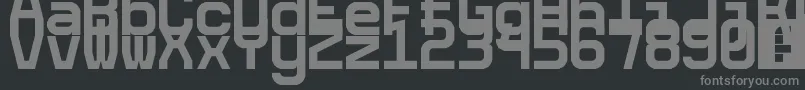 フォント5cetaMono – 黒い背景に灰色の文字