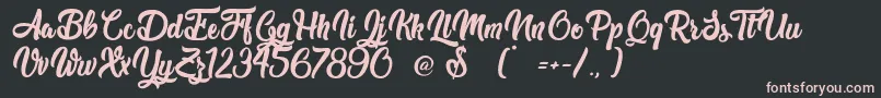 TheWestGate Font – Pink Fonts on Black Background