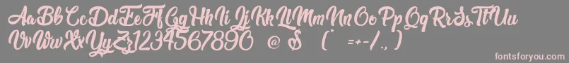 TheWestGate Font – Pink Fonts on Gray Background